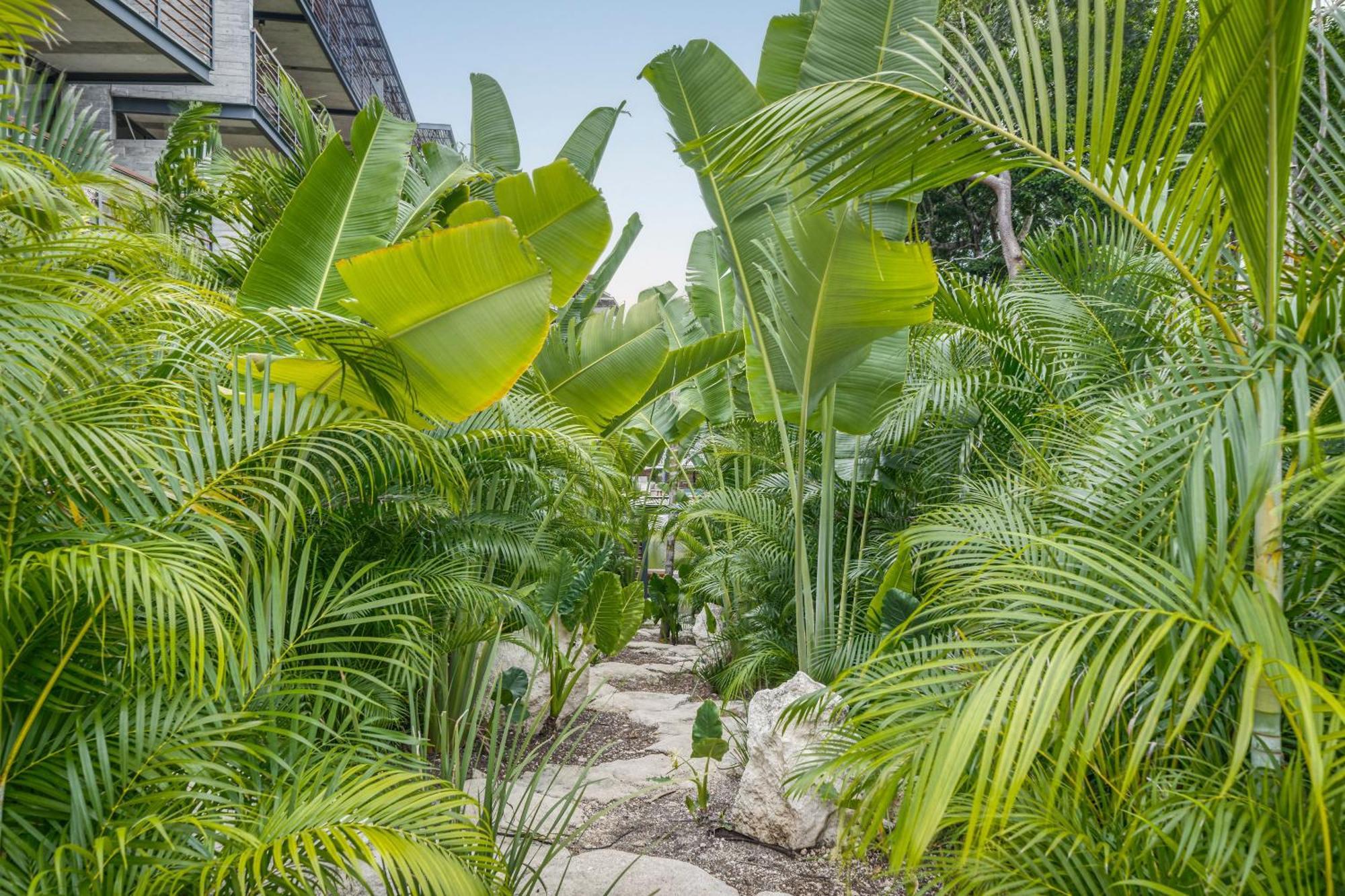 Waterworld Tulum 2Br W Cenote -Lagoons - Big Gym Eksteriør billede